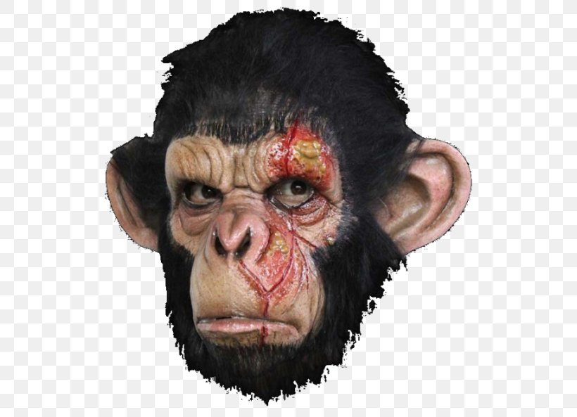 Chimpanzee Ape Gorilla Primate Mask, PNG, 526x593px, Chimpanzee, Ape, Clothing, Common Chimpanzee, Costume Download Free