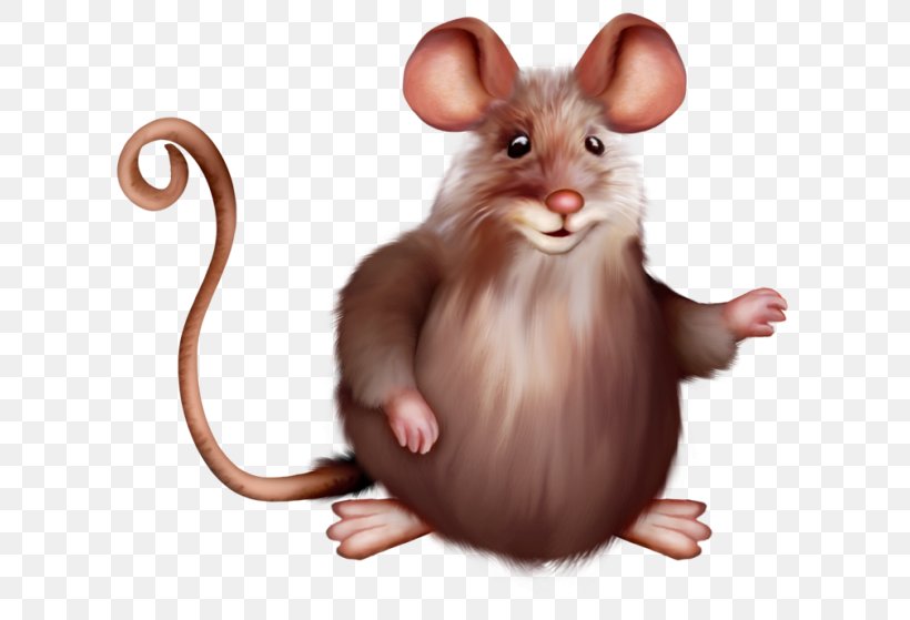 Computer Mouse, PNG, 650x559px, Computer Mouse, Digital Image, Fauna, Hamster, Mammal Download Free