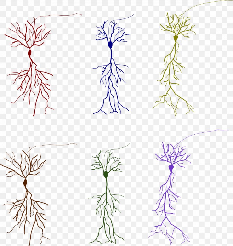 Neuroglia Neuron SafeSearch Plant, PNG, 2319x2450px, Neuroglia, Area, Branch, Drawing, Flora Download Free