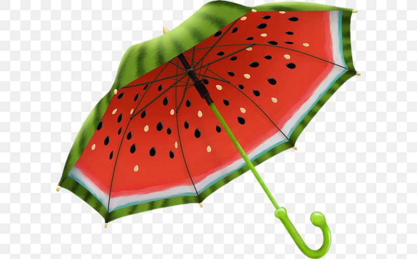 Umbrella Gift Shop Souvenir Raincoat, PNG, 600x510px, Umbrella, Business, Citrullus, Clothing, Drop Shipping Download Free