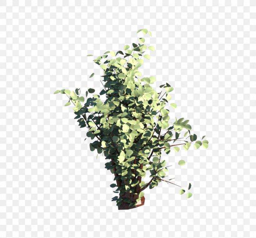 Flowerpot Herb Shrub Branching, PNG, 1000x930px, Flowerpot, Branch, Branching, Herb, Plant Download Free