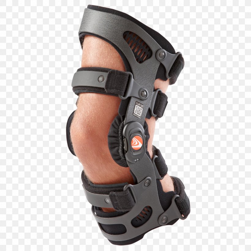 Knee Osteoarthritis Breg, Inc. Knee Pain Knee Arthritis, PNG, 1024x1024px, Osteoarthritis, Ankle, Arm, Arthritis, Breg Inc Download Free