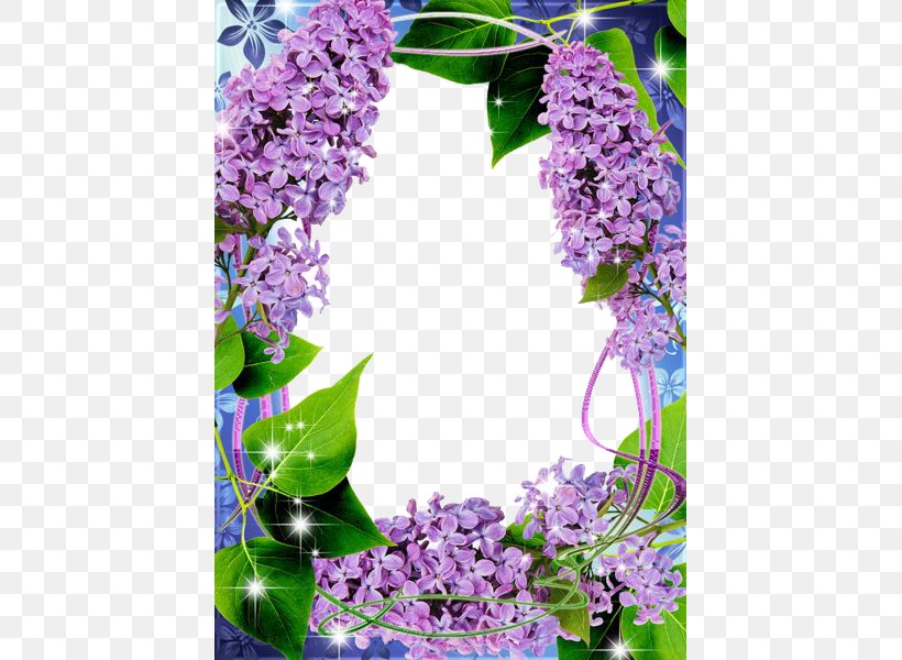 Picture Frame Clip Art, PNG, 429x600px, Picture Frame, Display Resolution, Floral Design, Floristry, Flower Download Free