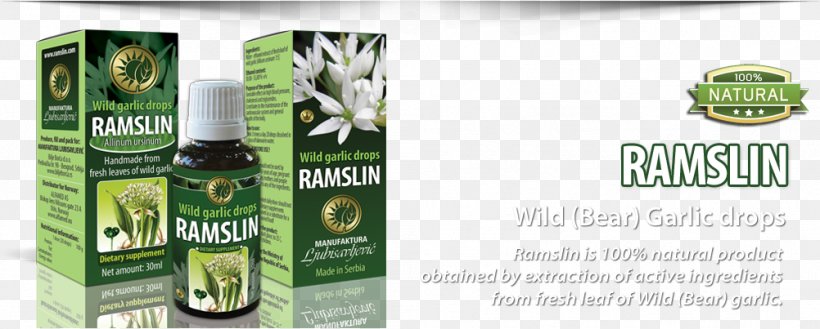 Ramsons Garlic Alliin Bacteria Liver, PNG, 1002x403px, Ramsons, Alliin, Amino Acid, Antibiotics, Bacteria Download Free