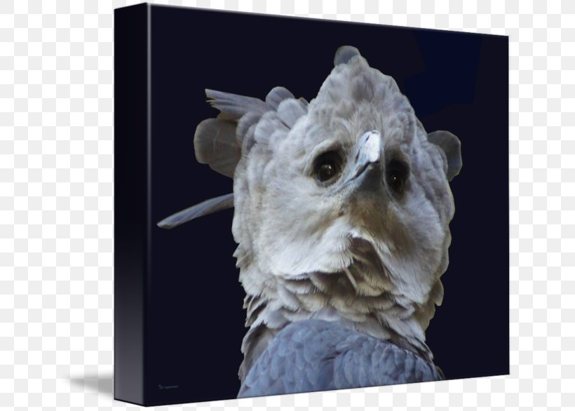 Sculpture Snout, PNG, 650x586px, Sculpture, Snout Download Free