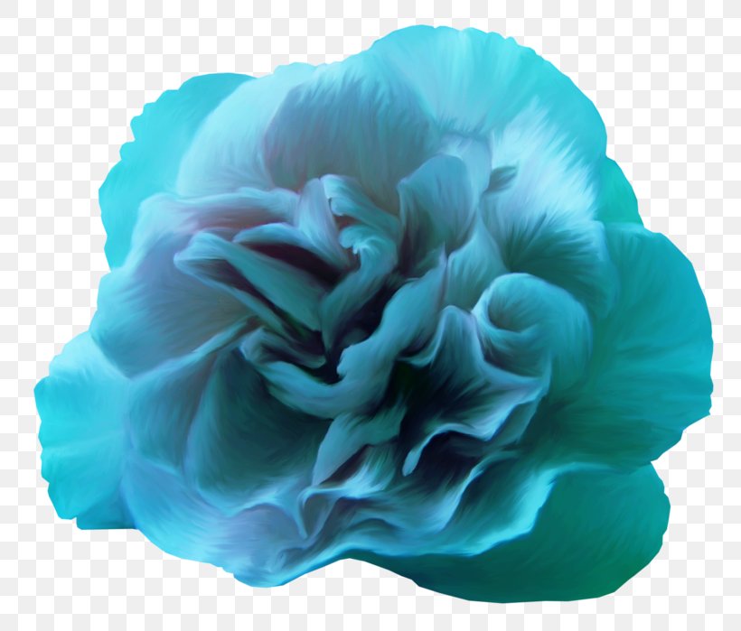 Blue Rose Blue Rose Flower Color, PNG, 800x699px, Rose, Aqua, Blue, Blue Rose, Color Download Free