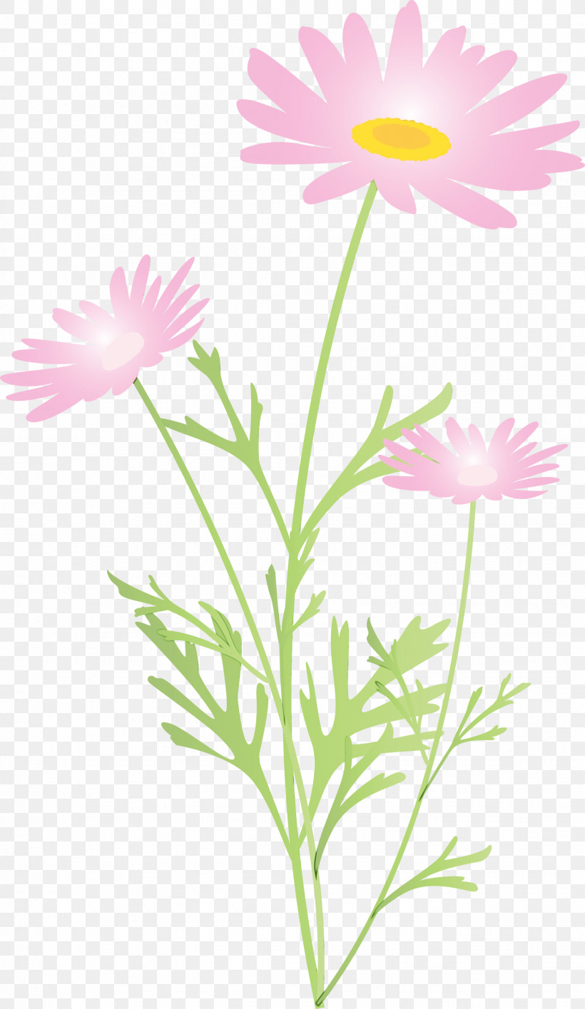 Daisy, PNG, 1737x2999px, Marguerite Flower, African Daisy, Aster, Camomile, Chamomile Download Free