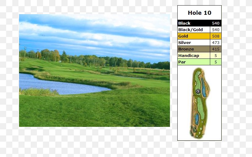 Golf Clubs Water Resources Ecosystem Grassland, PNG, 710x510px, Golf, Ecosystem, Golf Club, Golf Clubs, Golf Course Download Free
