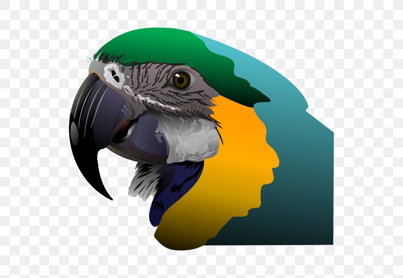 Parrot Clip Art, PNG, 800x566px, Parrot, Beak, Bird, Macaw, Perico Download Free