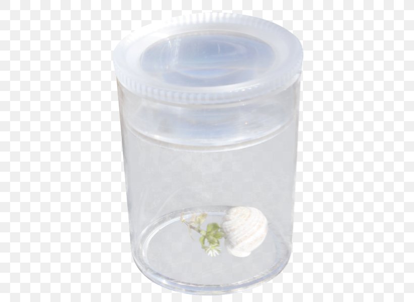 Plastic Product Lid Glass Unbreakable, PNG, 441x598px, Plastic, Glass, Lid, Unbreakable Download Free