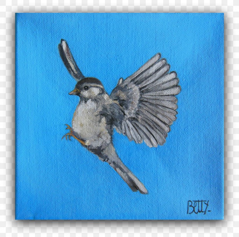 Blue Jay Wren Beak Feather, PNG, 1600x1589px, Blue Jay, Beak, Bird, Bluebird, Fauna Download Free