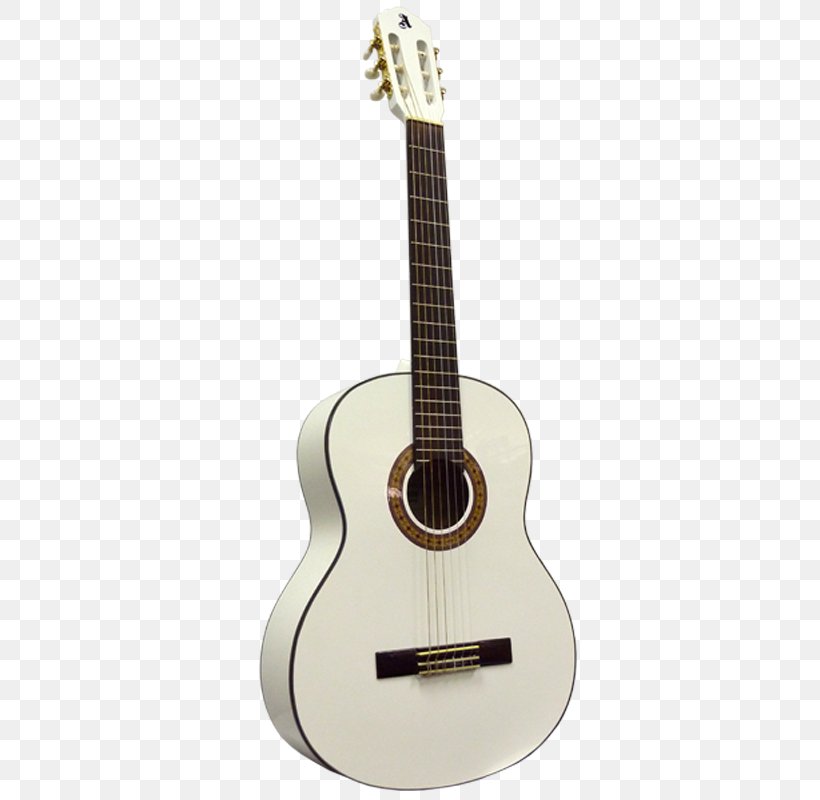 Classical Guitar Acoustic Guitar Acoustic-electric Guitar Dreadnought, PNG, 800x800px, Watercolor, Cartoon, Flower, Frame, Heart Download Free