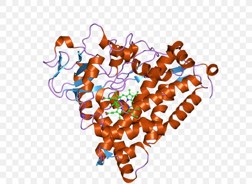CYP3A4 Cytochrome P450 Enzyme CYP2C9, PNG, 800x600px, Cytochrome P450, Art, Crystal Structure, Cytochrome, Enzyme Download Free