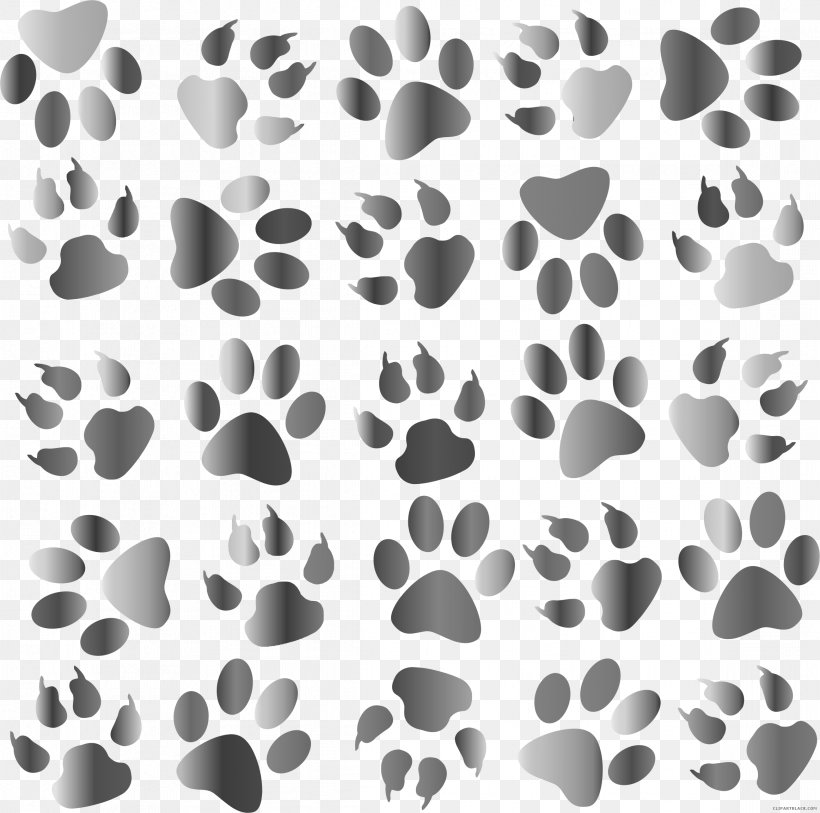 Dog Paw Cat Pet Paper, PNG, 2326x2308px, Dog, Animal, Animal Track, Black, Black And White Download Free