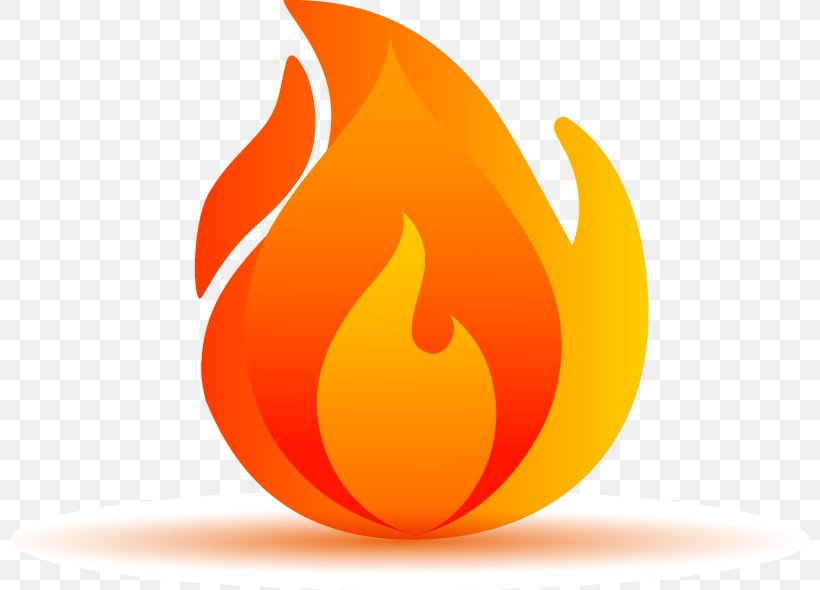 Fire Download Icon, PNG, 798x590px, Fire, Calabaza, Cartoon, Flame, Food Download Free