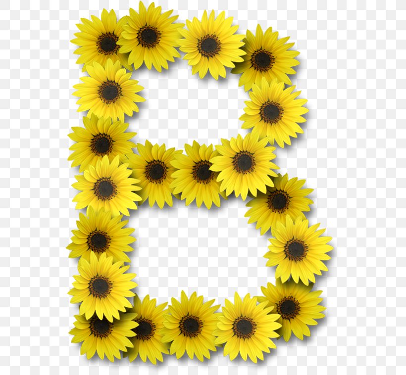 Letter Alphabet J, PNG, 558x758px, Letter, Alphabet, Common Sunflower, Daisy Family, Flower Download Free