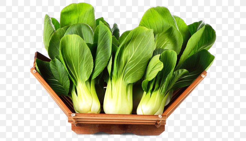 Vegetable Leaf Vegetable Food Choy Sum Plant, PNG, 640x470px, Vegetable, Choy Sum, Flower, Food, Herb Download Free
