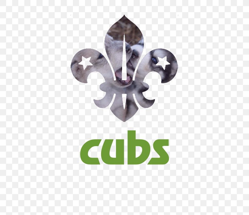 Chicago Cubs Cub Scout Beavers Scout Group Scouting, PNG, 591x709px, Chicago Cubs, Beaver Scouts, Beavers, Bharat Scouts And Guides, Brand Download Free