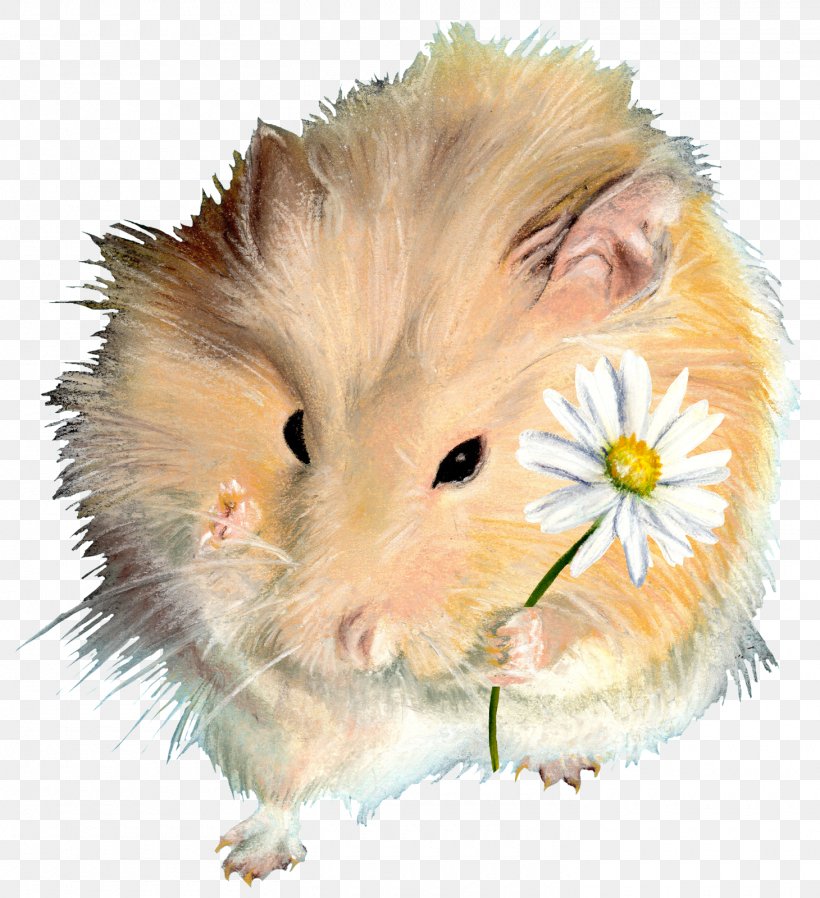 Rodent Hamster Guinea Pig Dormouse, PNG, 1460x1600px, Watercolor, Cartoon, Flower, Frame, Heart Download Free