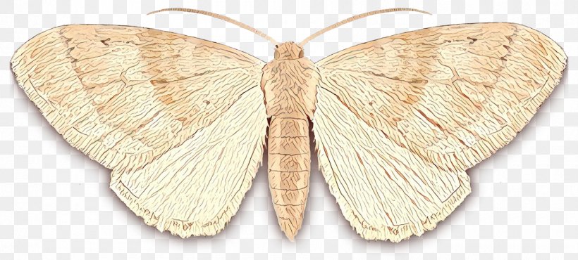 Butterfly Cartoon, PNG, 1800x813px, Cartoon, Bombycidae, Bombyx Mori, Butterfly, Cutworms Download Free