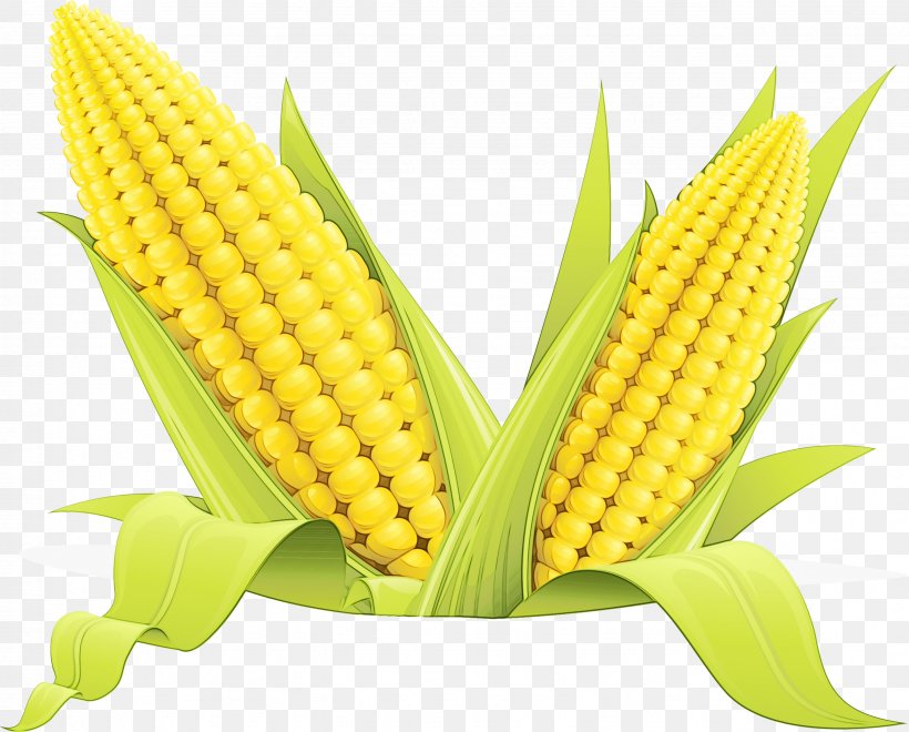 Corn Cartoon, PNG, 2568x2068px, 3 Dimensi, Corn On The Cob, Cereal, Corn, Corn Kernel Download Free