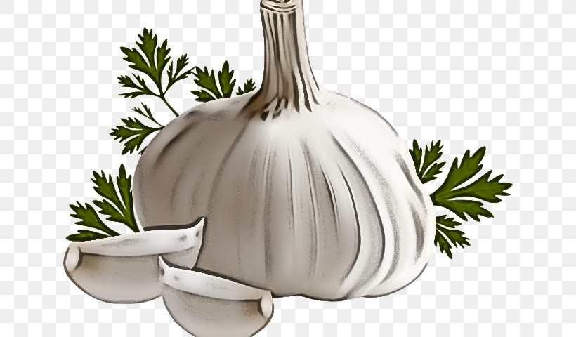 Garlic Mexican Cuisine Plant Tableware Sign, PNG, 640x480px, Garlic, Biology, Mexican Cuisine, Mexicans, Mexico Download Free