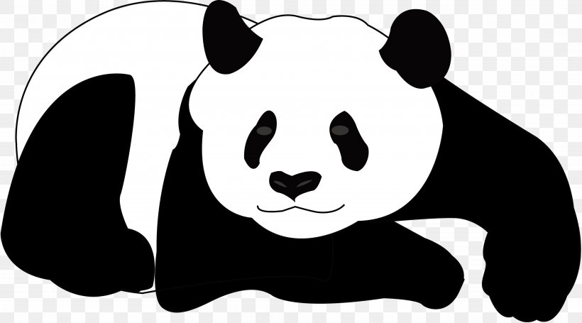Giant Panda Bear Koala Clip Art, PNG, 3840x2133px, Giant Panda, Artwork, Bear, Black, Black And White Download Free