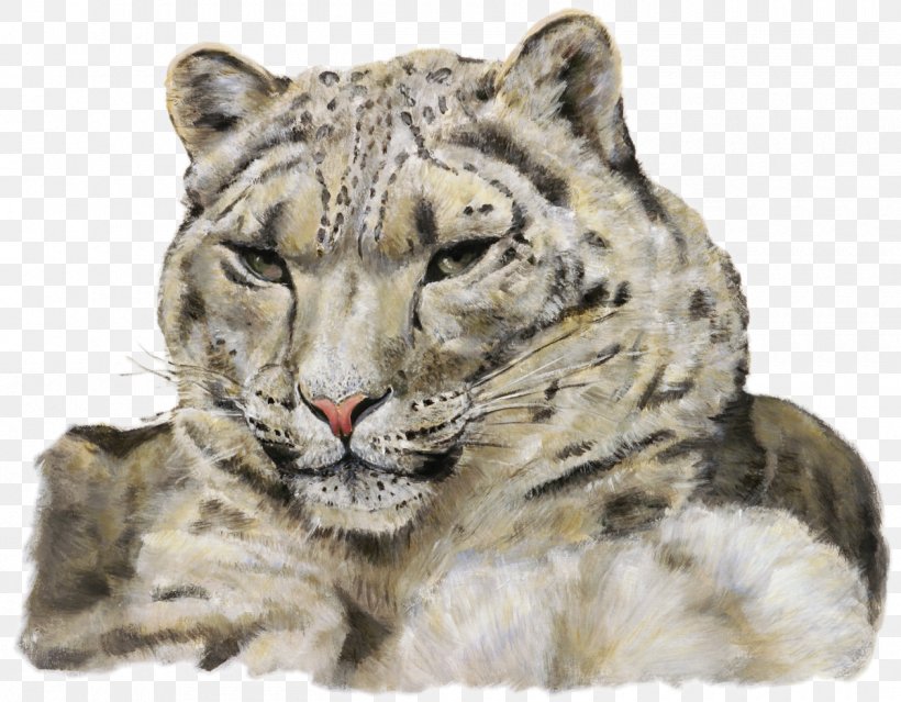 Where Snow Leopard Prowls: Wild Animals Of Tibet Tiger, PNG, 1260x982px, Leopard, Animal, Big Cats, Carnivoran, Cat Like Mammal Download Free