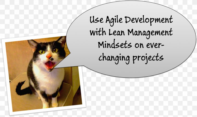 Whiskers Agile Software Development Project Management Dog, PNG, 1600x951px, Whiskers, Agile Software Development, Carnivoran, Cat, Cat Like Mammal Download Free