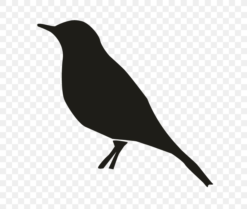 Background Family Day, PNG, 696x696px, Sparrow, Beak, Bird, Blackbird, Common Raven Download Free