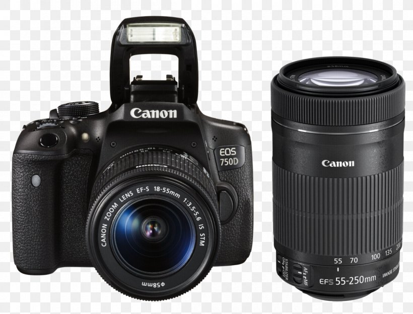 Canon EOS 700D Canon EF Lens Mount Canon EF-S Lens Mount Canon EF-S 18–55mm Lens Digital SLR, PNG, 1200x912px, Canon Eos 700d, Camera, Camera Accessory, Camera Lens, Cameras Optics Download Free