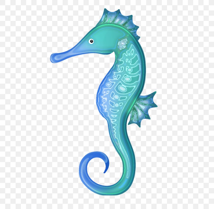 Short-snouted Seahorse White's Seahorse Pipefishes And Allies Clip Art, PNG, 800x800px, Shortsnouted Seahorse, Aqua, Body Jewelry, Dolphin, Drawing Download Free