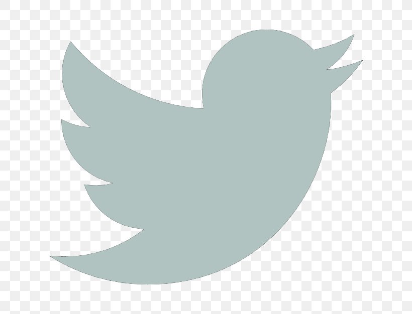 Social Media Logo Influencer Marketing, PNG, 626x626px, Social Media, Beak, Bird, Ducks Geese And Swans, Facebook Download Free