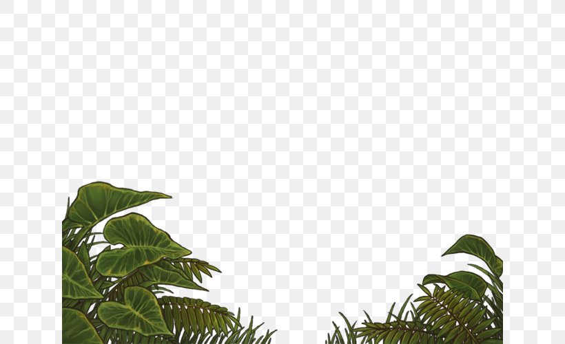 Vegetation Lawn Leaf Sky Plc Branching, PNG, 640x500px, Vegetation, Branch, Branching, Grass, Lawn Download Free