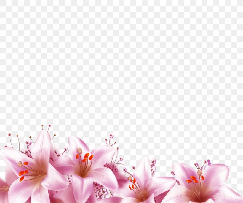 Flower Download, PNG, 1200x1000px, Flower, Blossom, Designer, Floral Design, Lilium Download Free