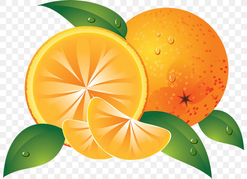 Juice Orange Clip Art, PNG, 800x597px, Juice, Apple, Bitter Orange, Citric Acid, Citrus Download Free