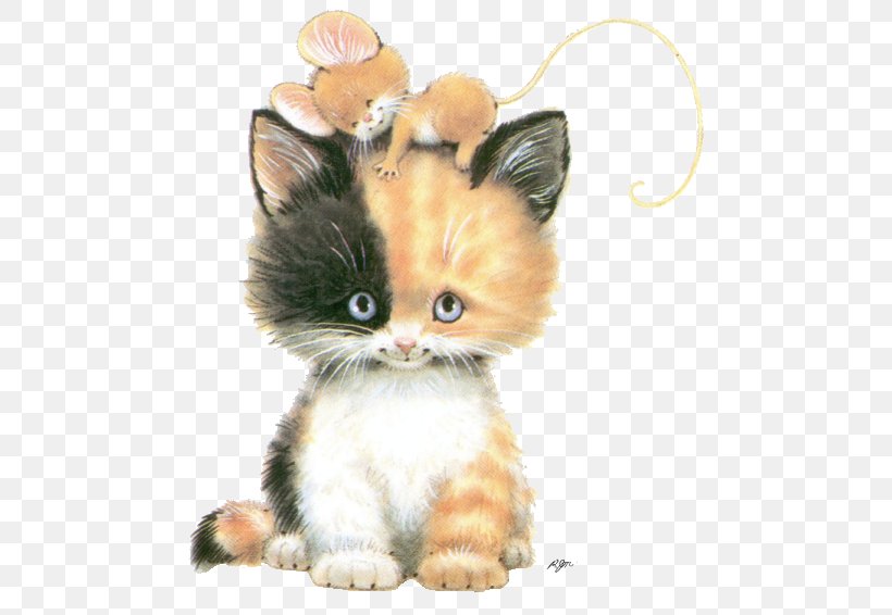 Kitten Mouse Chantilly-Tiffany Asian Semi-longhair Persian Cat, PNG, 505x566px, Kitten, American Wirehair, Animal, Asian Semilonghair, Calico Cat Download Free