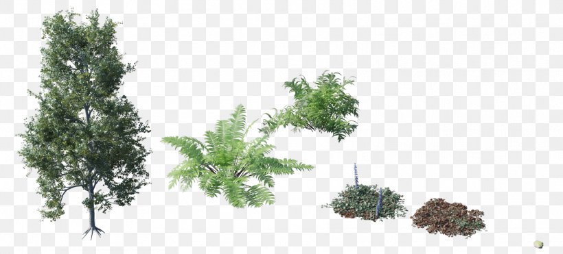 Tree Plant Shrub Forest, PNG, 1769x801px, 3d Computer Graphics, Tree, Animation, Biome, Branch Download Free