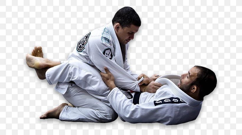 Brazilian Jiu-jitsu Karate Hapkido Judo Jujutsu, PNG, 700x459px, Brazilian Jiujitsu, Aggression, Arm, Brazilian Jiu Jitsu, Brazilian Jiujitsu Gi Download Free