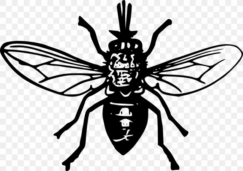Cartoon Bee, PNG, 960x675px, Tsetse Fly, Bee, Black Fly, Blackandwhite, Bumblebee Download Free