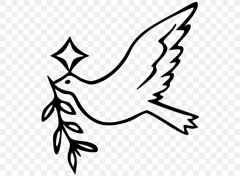 Columbidae Coloring Book Doves As Symbols International Day Of Peace (United Nations), PNG, 550x600px, Columbidae, Art, Artwork, Beak, Bird Download Free