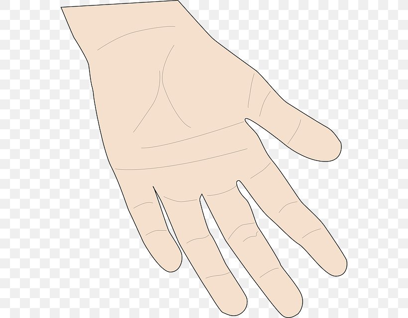 Hand Finger, PNG, 576x640px, Hand, Cartoon, Drawing, Finger, Formal Gloves Download Free