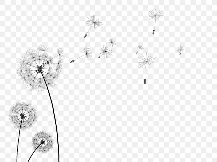 Information Clip Art, PNG, 1600x1200px, Information, Black And White, Body Jewelry, Branch, Cut Flowers Download Free