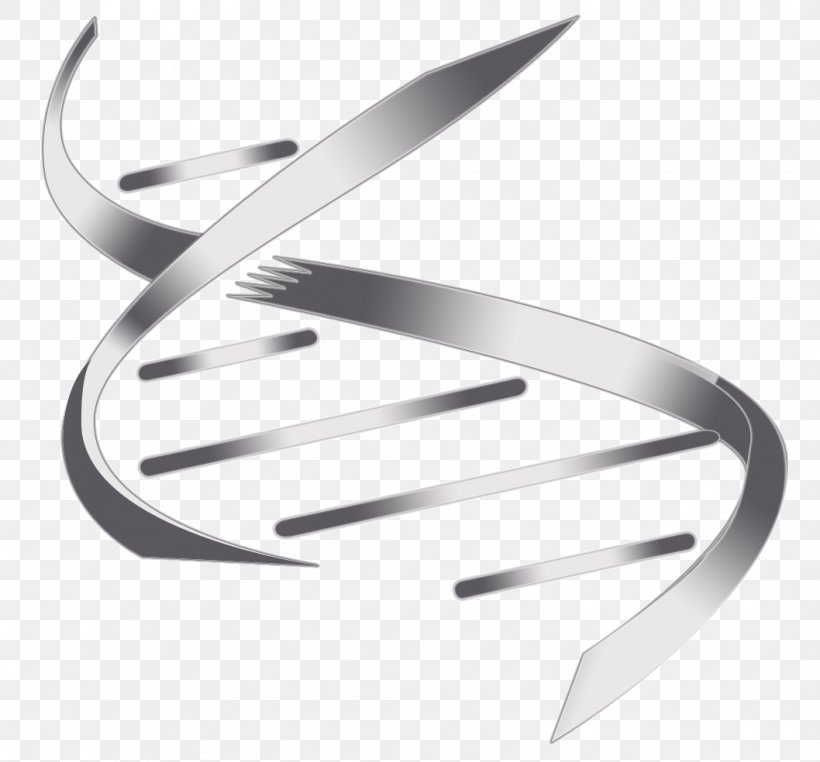Nucleic Acid Double Helix DNA Information, PNG, 1058x984px, Helix, Biotechnology, Data, Dimension, Dna Download Free