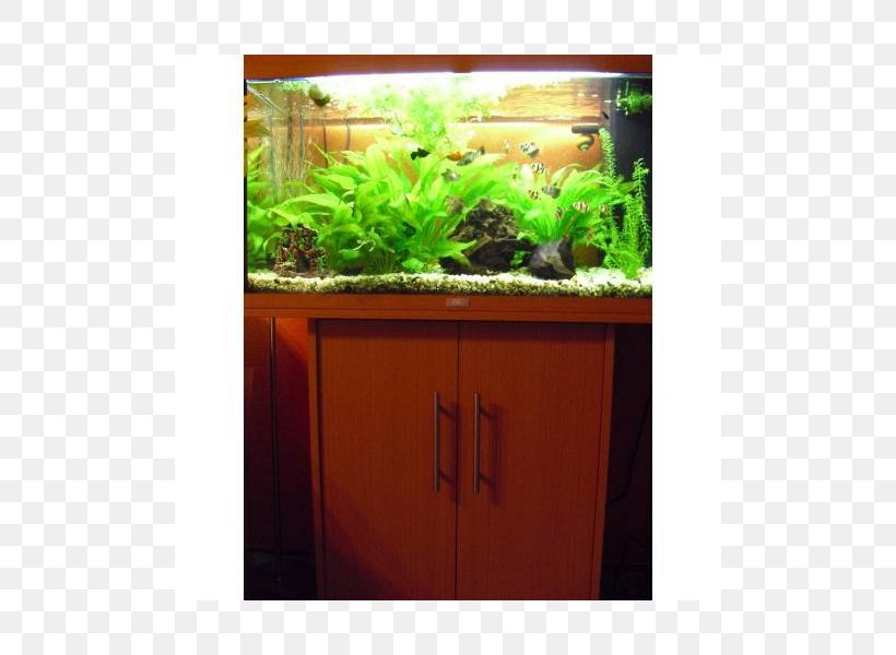 Aquariums Herb Flowerpot Plant, PNG, 800x600px, Aquariums, Aquarium, Flora, Flowerpot, Fresh Water Download Free