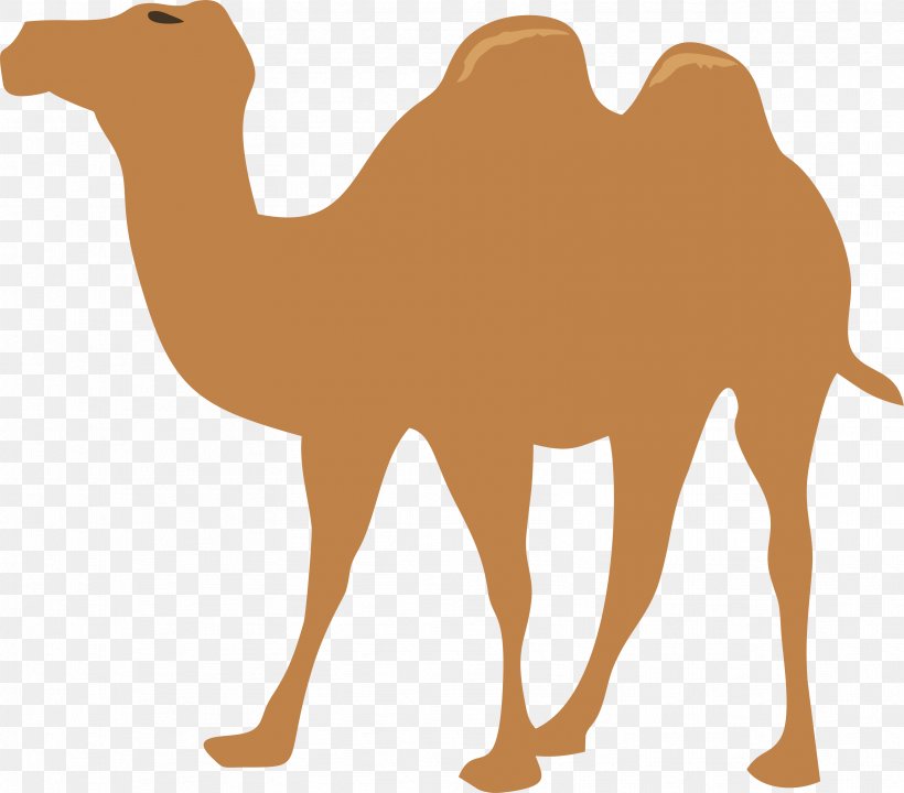 Camel Clip Art, PNG, 3334x2930px, Camel, Arabian Camel, Camel Like Mammal, Fauna, Free Content Download Free