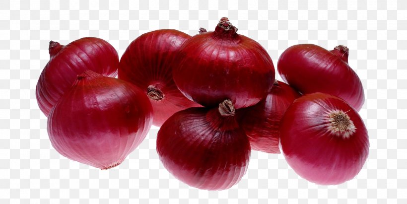 French Onion Soup Nashik Red Onion Yellow Onion Organic Food, PNG, 1600x803px, French Onion Soup, Allium Chinense, Apple, Food, Fruit Download Free