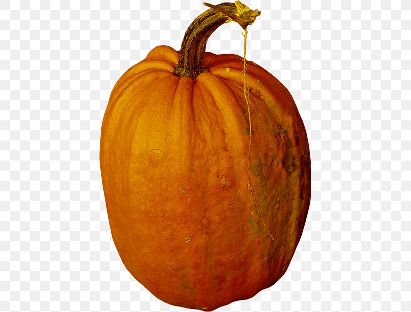 Jack-o-lantern Calabaza Pumpkin Gourd Winter Squash, PNG, 423x622px, Jackolantern, Calabaza, Commodity, Cucumber, Cucumber Gourd And Melon Family Download Free