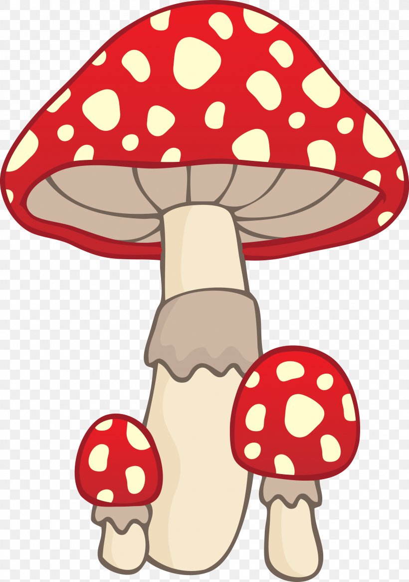 Mushroom Fungus, PNG, 2452x3484px, Mushroom, Art, Artwork, Autumn, Fungus Download Free