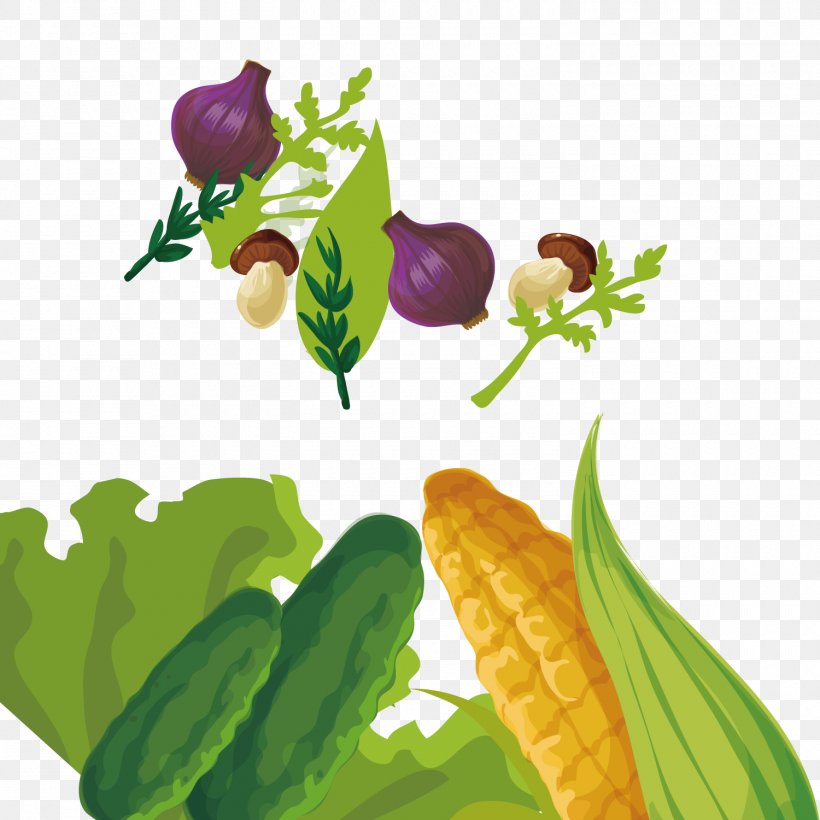 Plant Fruit Vegetable Food, PNG, 1500x1500px, Organic Food, Food, Fruit, Illustration, Leaf Download Free